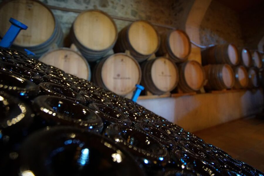 From Barcelona: E-Bike and Sailing Tour with Wine Tastings - Practical advice for a smoother day