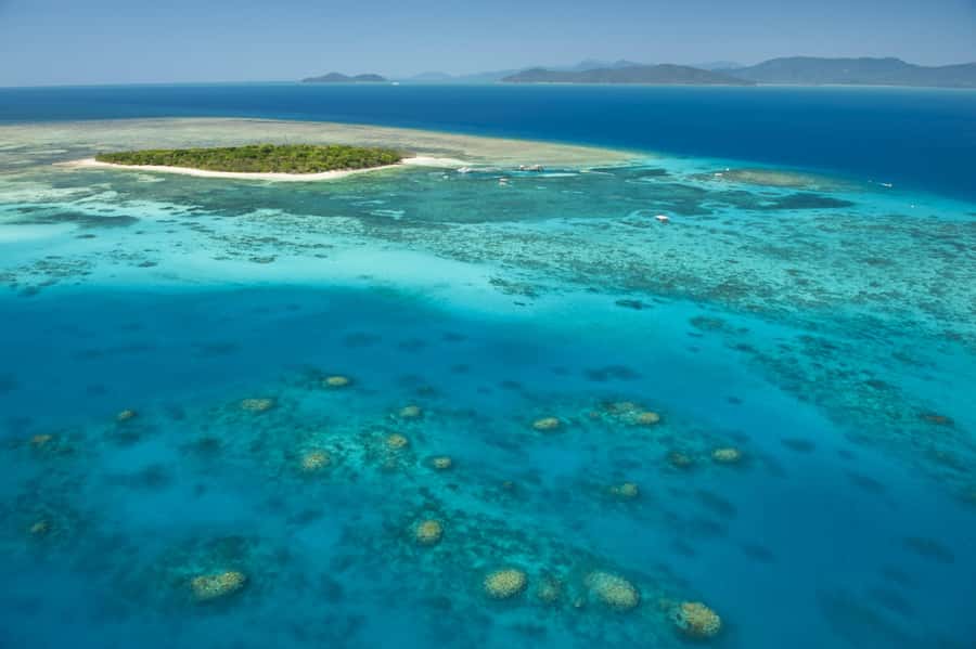 From Cairns: Full-Day Green Island Cruise - Key points to know before booking