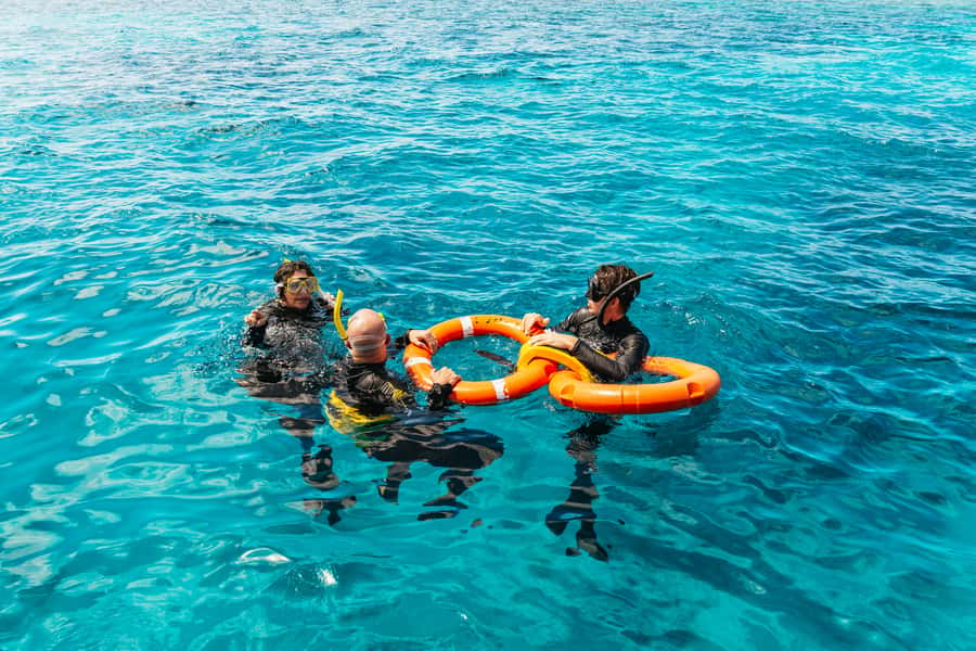 From Cairns: Great Barrier Reef Cruise by Premium Catamaran - Two outer reef stops make this more than a quick swim