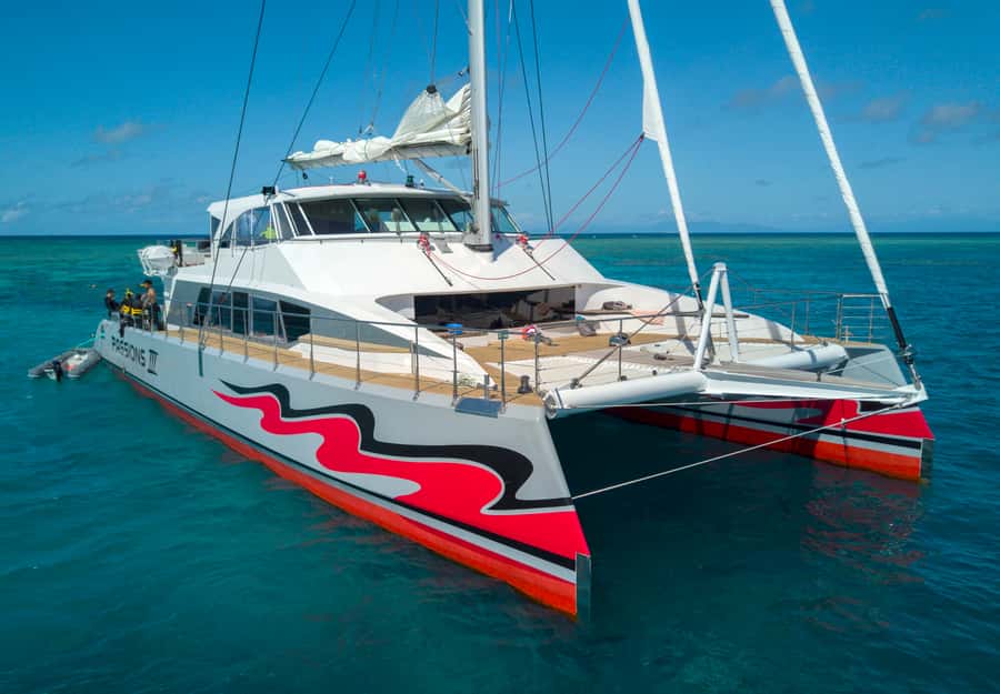 From Cairns: Great Barrier Reef Cruise by Premium Catamaran - Snorkeling with help when you need it