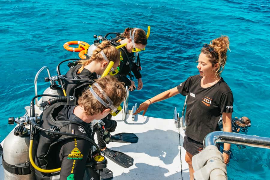 From Cairns: Great Barrier Reef Cruise by Premium Catamaran - The second reef session adds real value