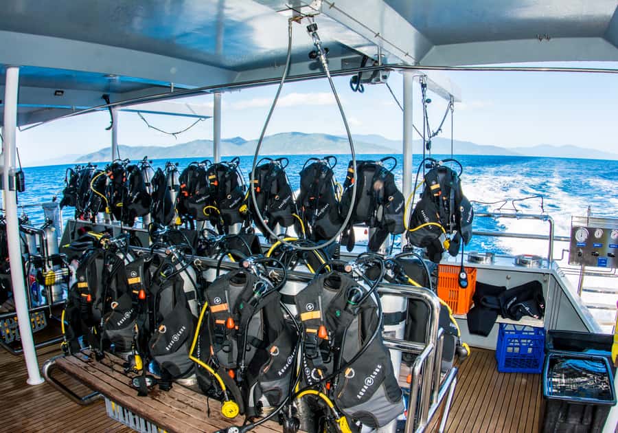 From Cairns: Great Barrier Reef Cruise by Premium Catamaran - Eco talks give the day more meaning