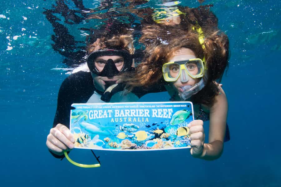 From Cairns: Great Barrier Reef Cruise by Premium Catamaran - The return sail is a calm finish