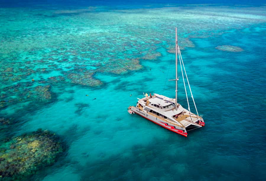 From Cairns: Great Barrier Reef Cruise by Premium Catamaran - The catamaran ride is part of the experience