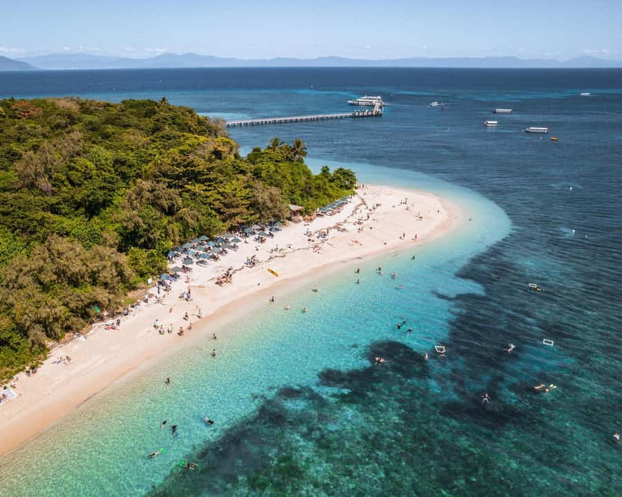 From Cairns: Green Island Half-Day Morning Cruise - Green Island’s beach, rainforest, and reef edge