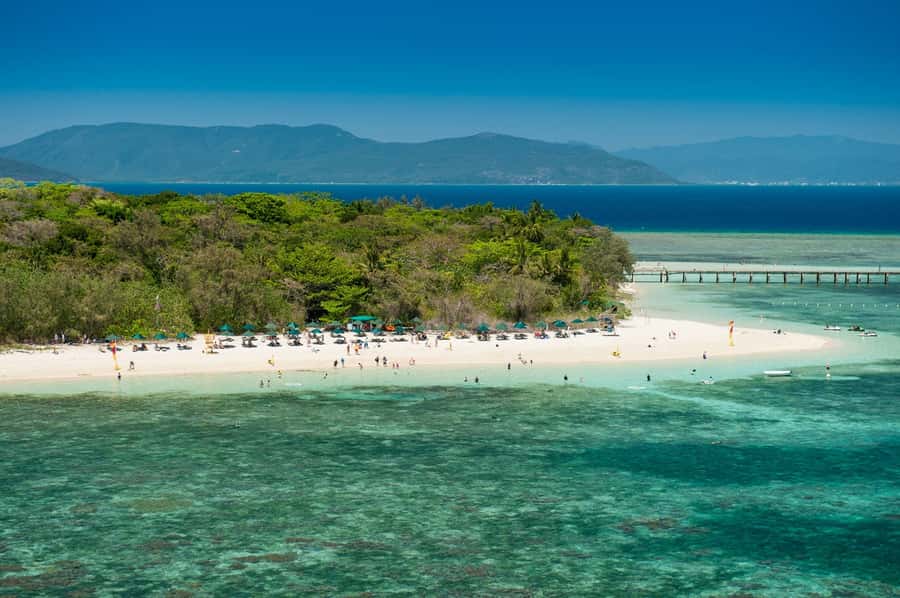 From Cairns: Green Island Half-Day Morning Cruise - Who should book this Green Island cruise?