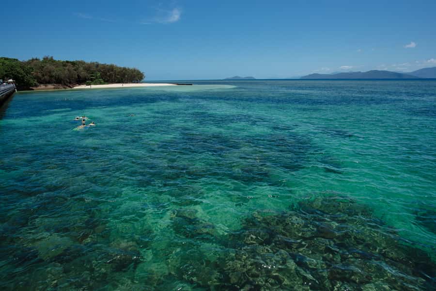 From Cairns: Green Island Half-Day Morning Cruise - Choosing between snorkeling and the glass-bottom boat