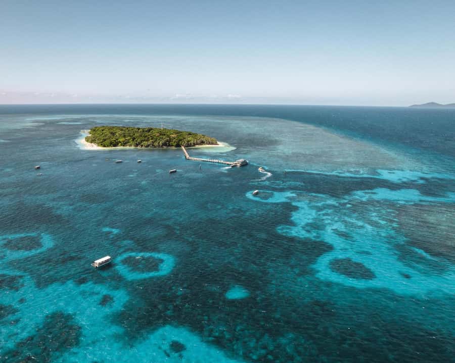 From Cairns: Half-Day Afternoon Cruise to Green Island - The 45-minute crossing from Cairns