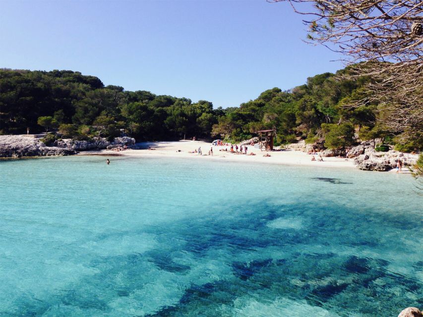 From Cala Galdana: 2-Hour Glass-Bottom Boat Trip - Key points to know before you book