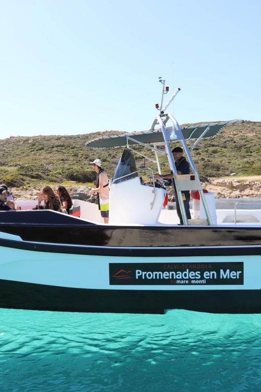 From Calvi: 2-Hour Sunset Cruise to Revellata Peninsula - Key points to know before booking