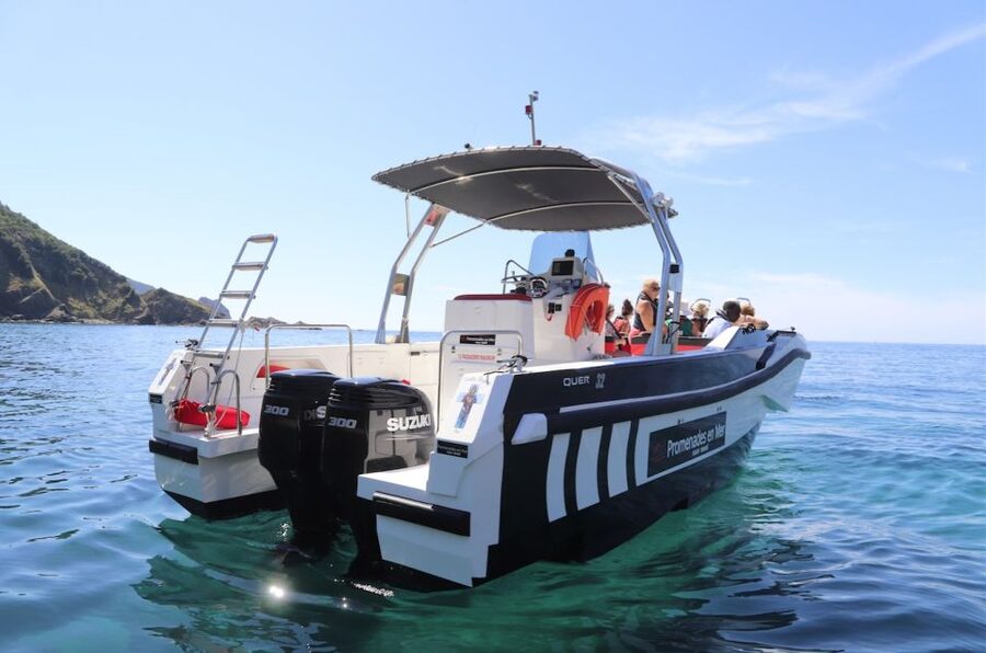 From Calvi: 2-Hour Sunset Cruise to Revellata Peninsula - What the $59 price really buys you