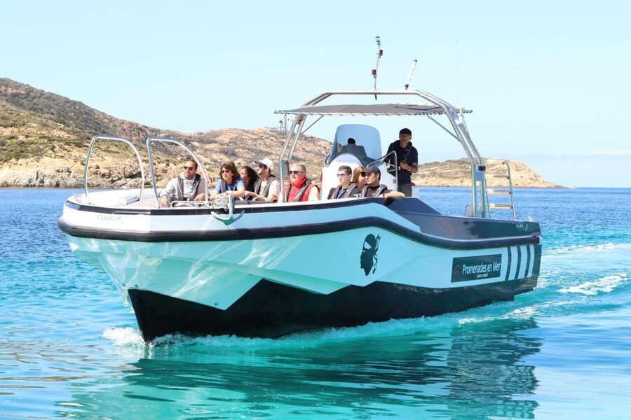 From Calvi: 2-Hour Sunset Cruise to Revellata Peninsula - Who will enjoy this Calvi sunset cruise