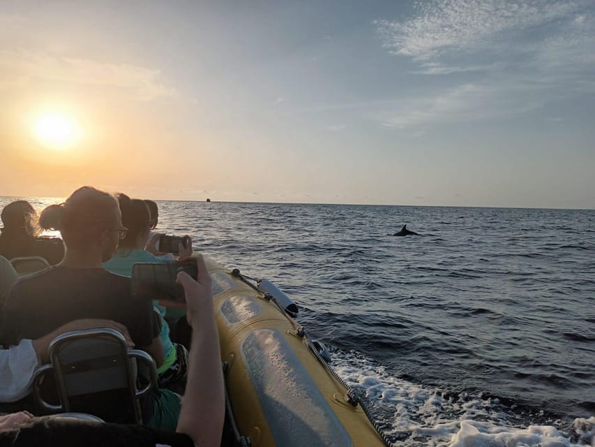 From Can Picafort: Dolphin Watching and Cave Boat Trip - How much does $82 represent in value?