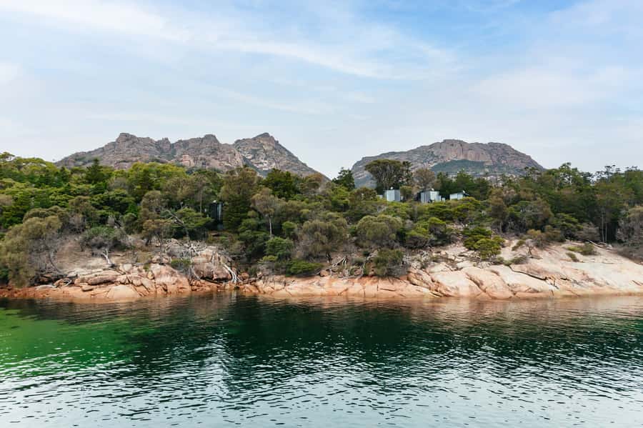 From Coles Bay: Wineglass Bay Cruise with Lunch - Dolphins, seals, whales, and seabirds