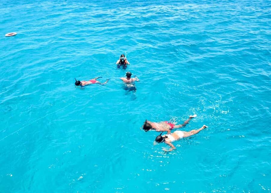 From Corralejo: Lobos Island Boat and Snorkel Activity - Who Gets the Best Value for $31