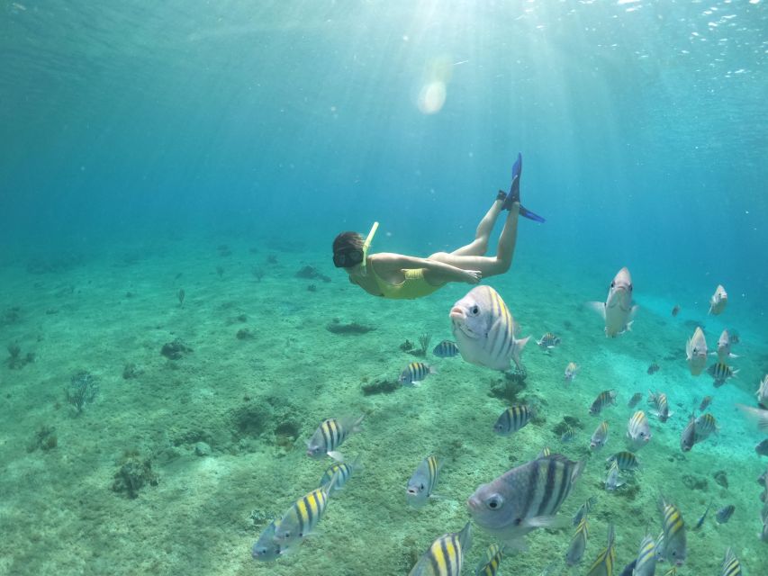 From Cozumel: 3 Reefs Boat Tour with Drinks and Snorkeling - Playa El Cielo and the starfish stop