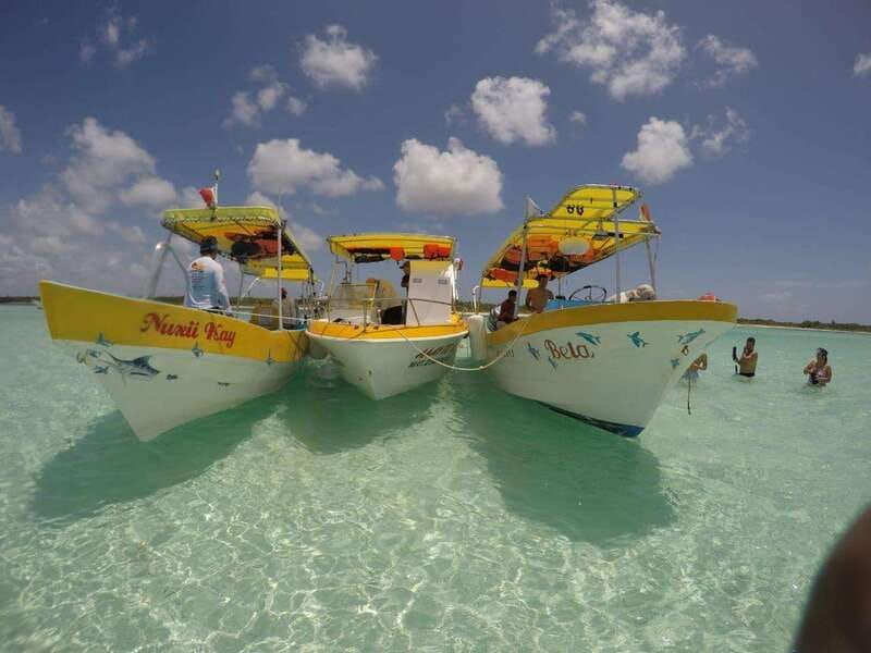 From Cozumel: 3 Reefs Boat Tour with Drinks and Snorkeling - What you can realistically see underwater