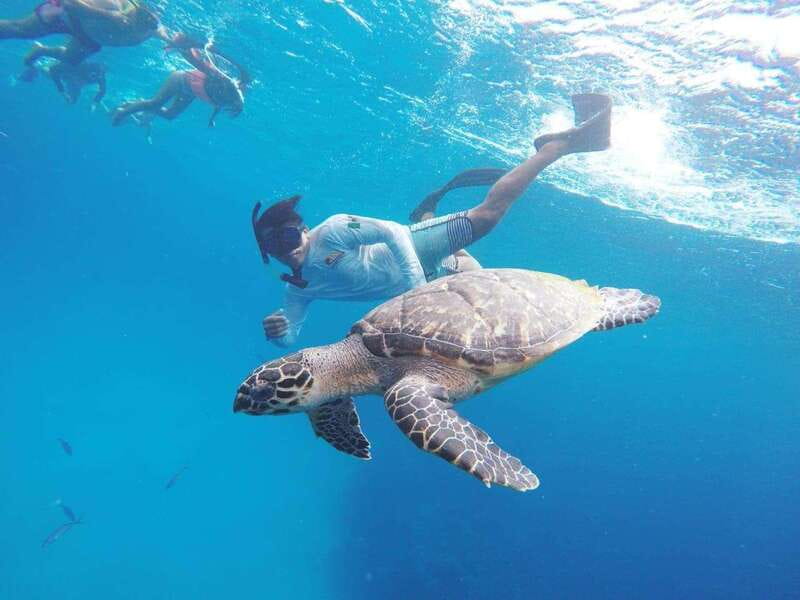 From Cozumel: 3 Reefs Boat Tour with Drinks and Snorkeling - Getting to Marina Cozumel ASIPONA