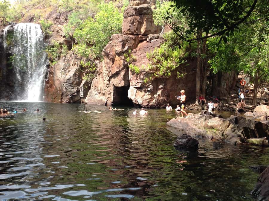 From Darwin: Litchfield Park Tour & Jumping Crocodile Cruise - The Adelaide River crocodile cruise comes first