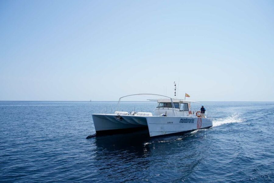 From Denia: Boat Trip to Tallada Cave with Optional Swim - The return to Dénia