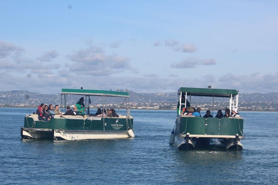 From Faro: 4 Stops, 3 Islands in Ria Formosa Catamaran Tour - Why the Ria Formosa makes a good boat trip