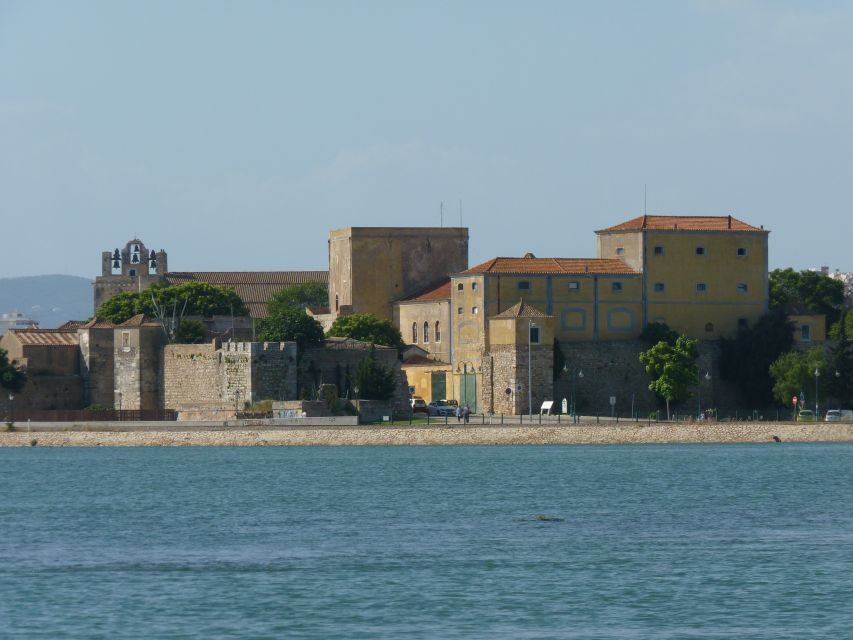 From Faro: 4 Stops, 3 Islands in Ria Formosa Catamaran Tour - Ilha do Farol and its lighthouse village