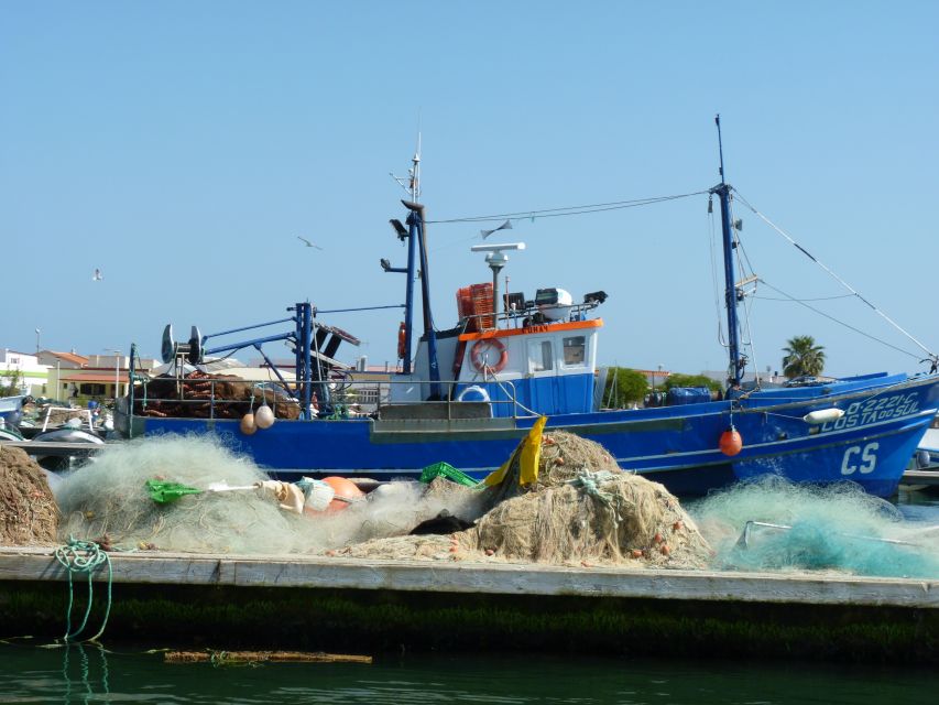 From Faro: 4 Stops, 3 Islands in Ria Formosa Catamaran Tour - Hangares and the oyster farms