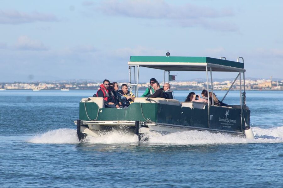 From Faro: 4 Stops, 3 Islands in Ria Formosa Catamaran Tour - Ilha Deserta: the best place to swim