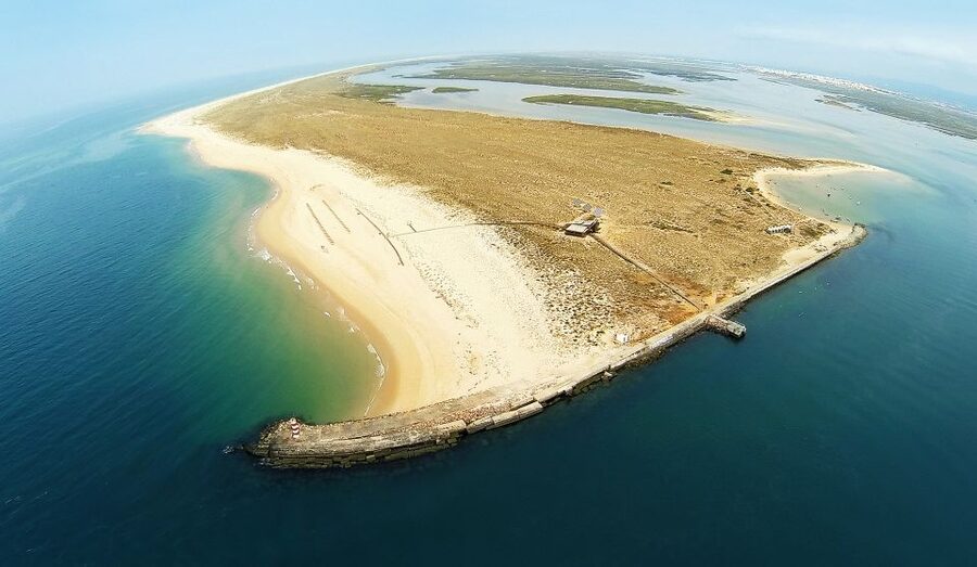 From Faro: Catamaran Boat Trip to Deserta Island with Stop - Choosing your return time