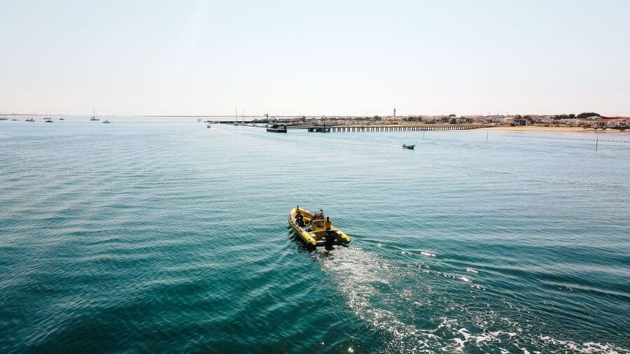 From Faro: Ria Formosa Hop-On Hop-Off 3 Islands Cruise - Why this island day works so well from Faro