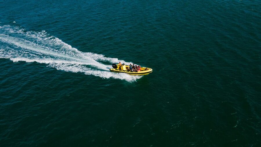From Faro: Ria Formosa Hop-On Hop-Off 3 Islands Cruise - Farol Island and its lighthouse village