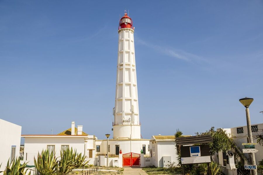 From Faro: Ria Formosa Hop-On Hop-Off 3 Islands Cruise - What you may see between the islands