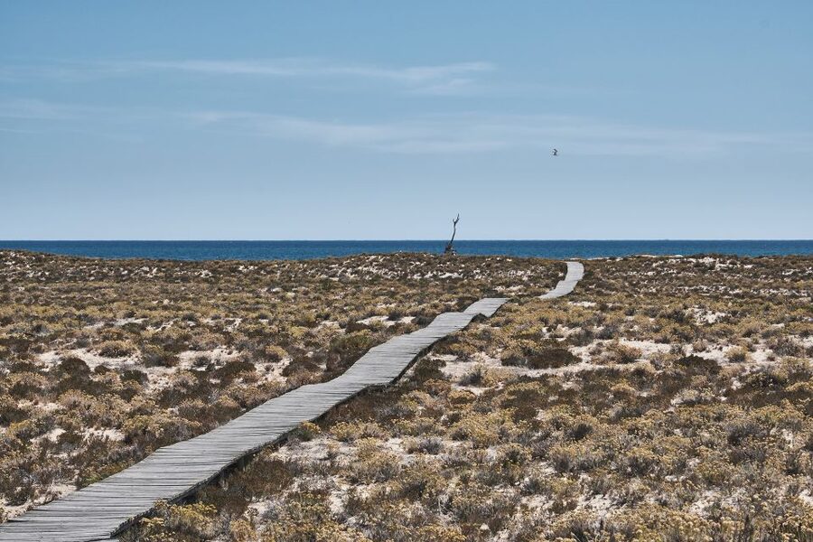 From Faro: Ria Formosa Hop-On Hop-Off 3 Islands Cruise - Who should book this experience?
