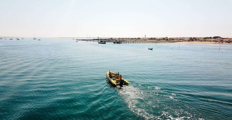 From Faro: Ria Formosa Hop-On Hop-Off 3 Islands Cruise - Desert Island: start with the quietest stop
