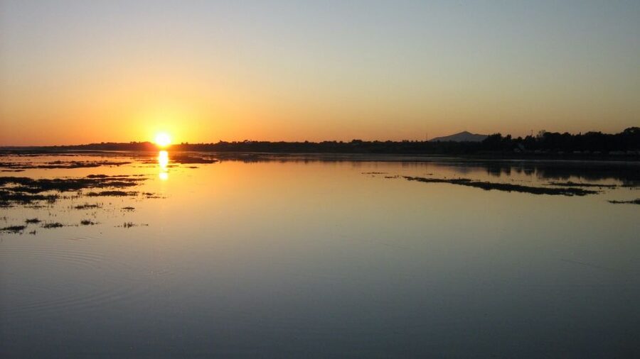 From Faro: Ria Formosa Sunset Boat Trip - Key points to know before you book