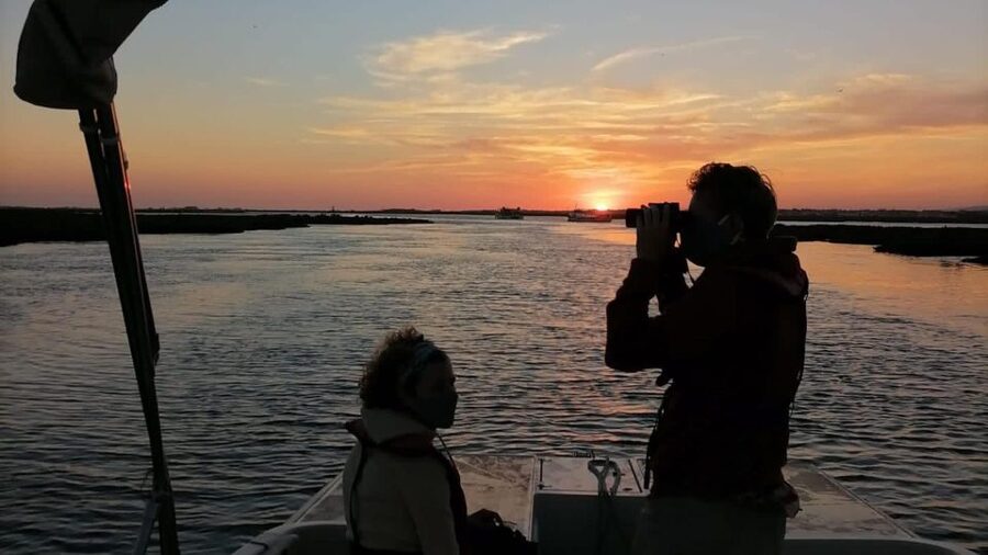 From Faro: Ria Formosa Sunset Boat Trip - Is $35 good value for one hour?