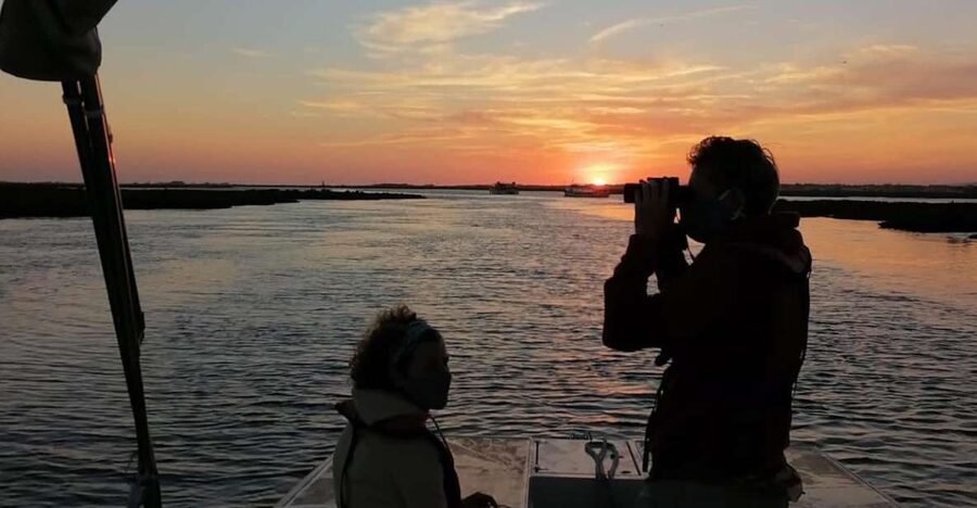 From Faro: Ria Formosa Sunset Boat Trip - Leaving from Faro’s Nautical Club