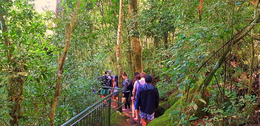 From Foz do Iguazu: Brazil Iguazu Falls & Macuco Safari Boat - What to wear and pack for the spray