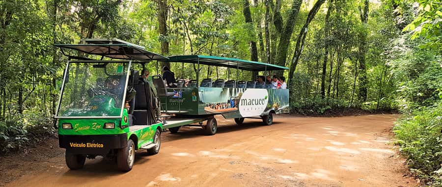 From Foz do Iguazu: Brazil Iguazu Falls & Macuco Safari Boat - Should you book the Brazilian falls and Macuco Safari?