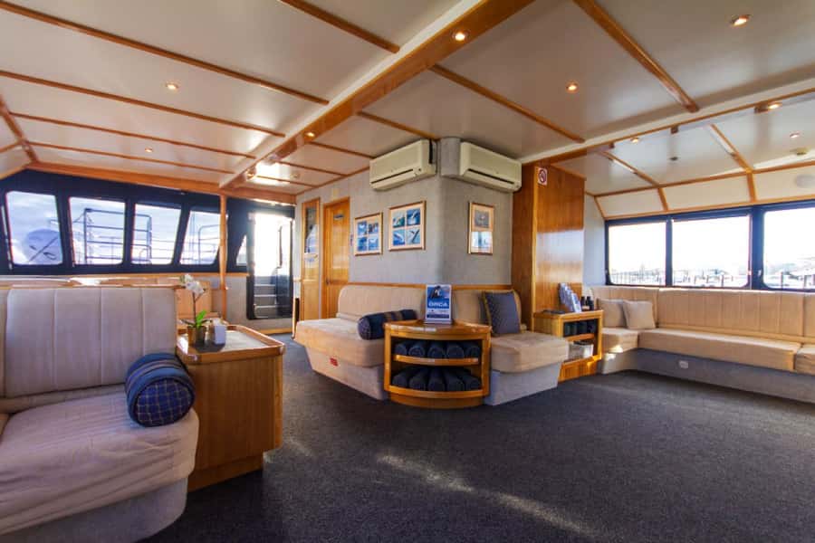 From Fremantle: 2-Hour Luxury Whale-Watching Cruise - Should you book the Fremantle whale cruise?