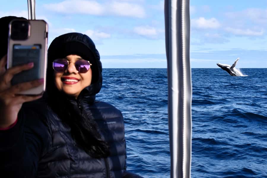 From Fremantle: 2-Hour Luxury Whale-Watching Cruise - Finding humpbacks in Perth’s sheltered waters