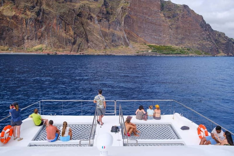 From Funchal: Ecological Catamaran Dolphin Whale Watching - Using the nets and two viewing decks