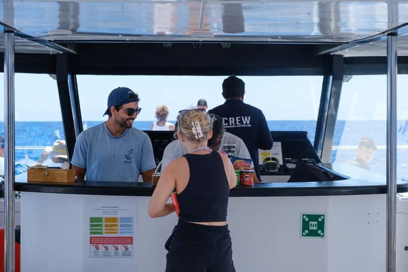 From Funchal: Ecological Catamaran Dolphin Whale Watching - Who will enjoy this trip most?
