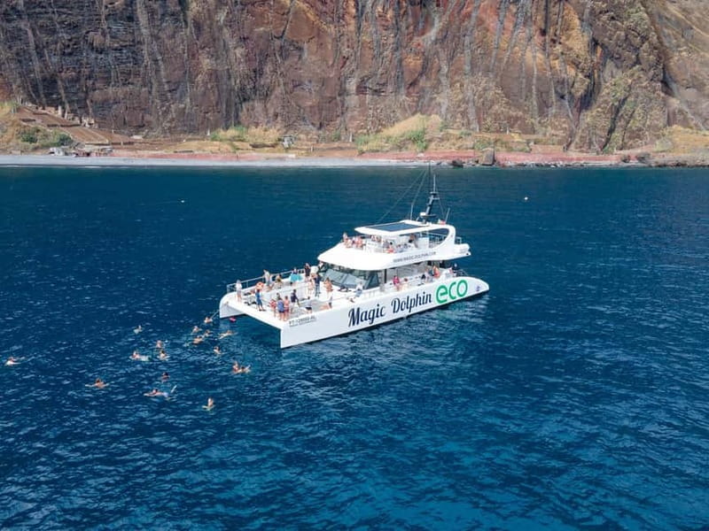 From Funchal: Ecological Catamaran Dolphin Whale Watching - Should you book the Magic Dolphin catamaran?
