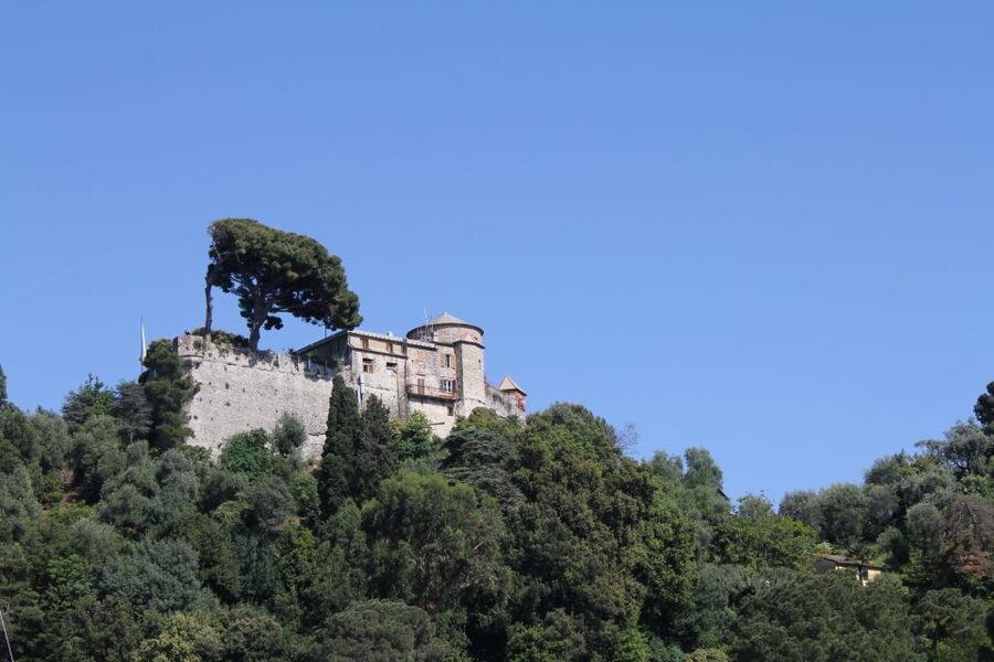 From Genoa: Boat Tour to Portofino with Free Time to Explore - Should you book it?
