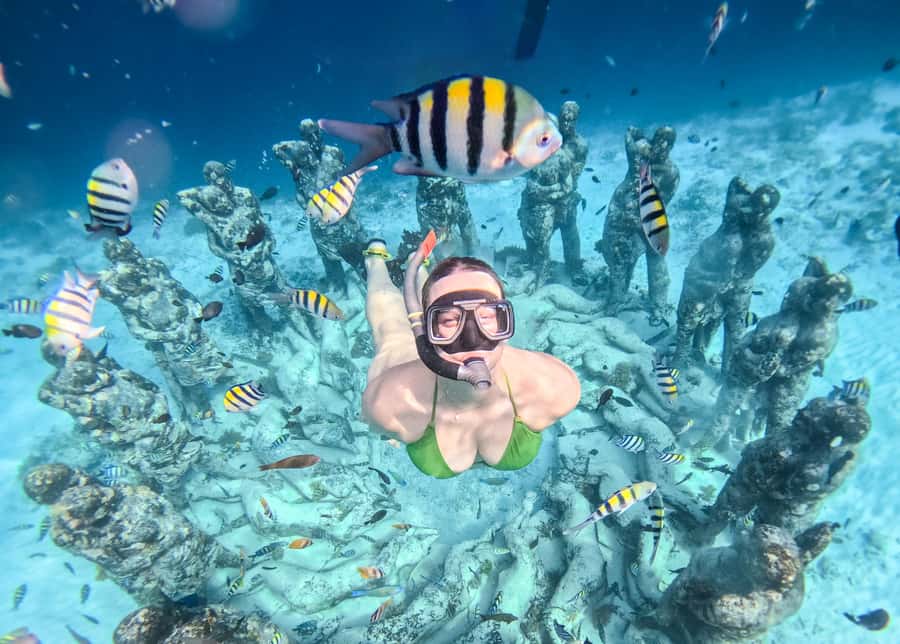 From Gili Trawangan: Gili Islands Snorkeling Boat Tour - Three snorkeling stops from Gili Trawangan