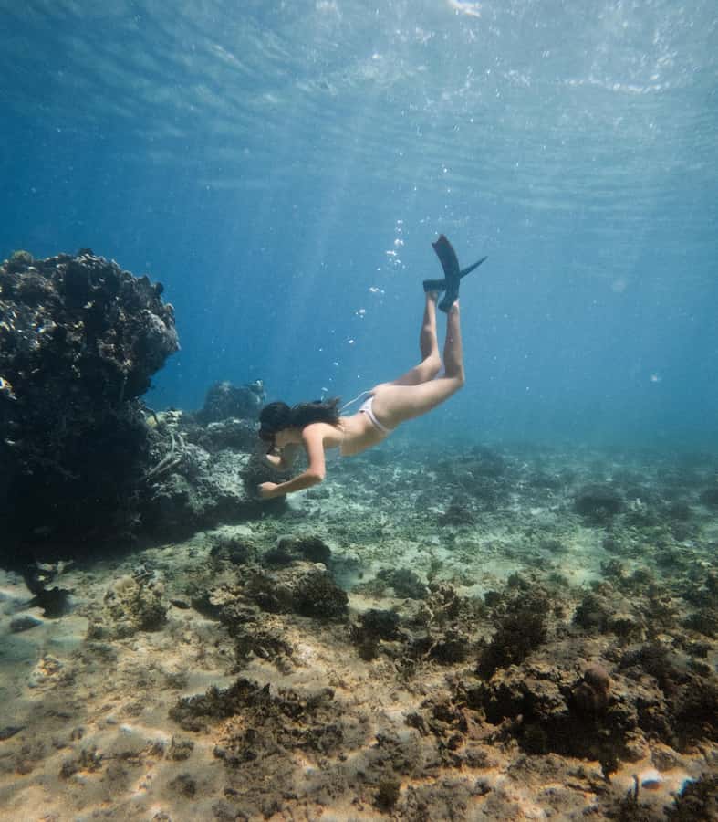 From Gili Trawangan: Gili Islands Snorkeling Boat Tour - Should you book the Gili Islands snorkeling tour?