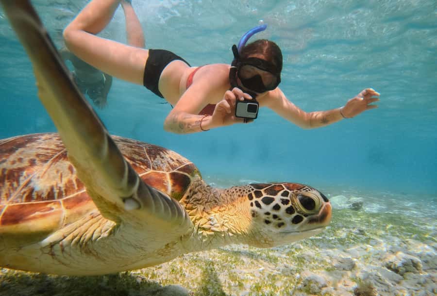 From Gili Trawangan: Gili Islands Snorkeling Boat Tour - Swimming with turtles near the reef