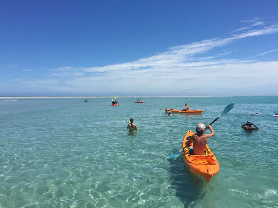 From Hervey Bay: Half-Day K'gari Fraser Island Beach Cruise - Leaving from Great Sandy Straits Marina