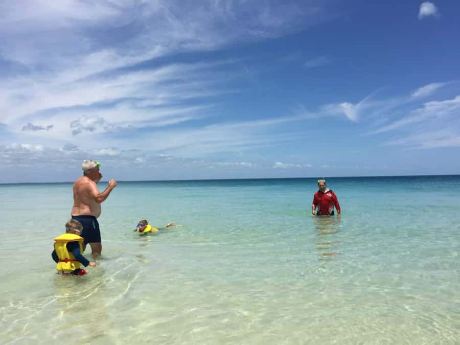 From Hervey Bay: Half-Day K'gari Fraser Island Beach Cruise - A beach day with more than swimming